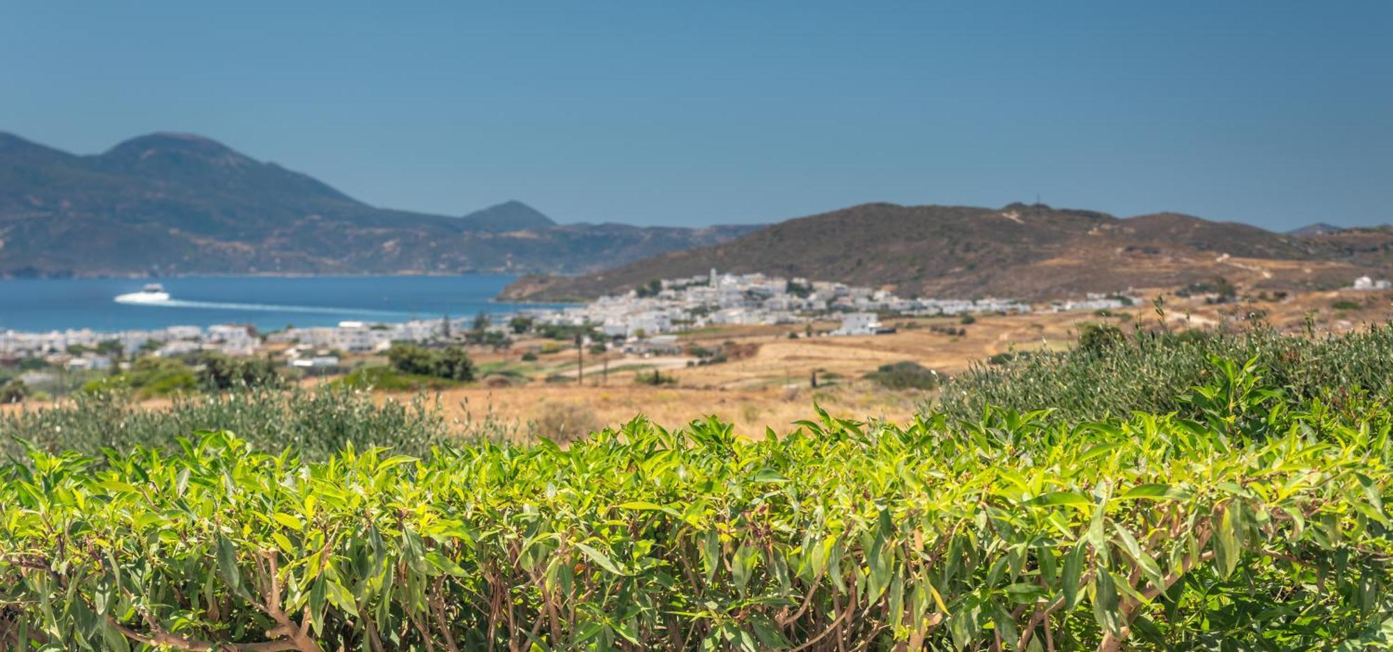Apartmán Iliana Olive Branch Adamantas  Exteriér fotografie