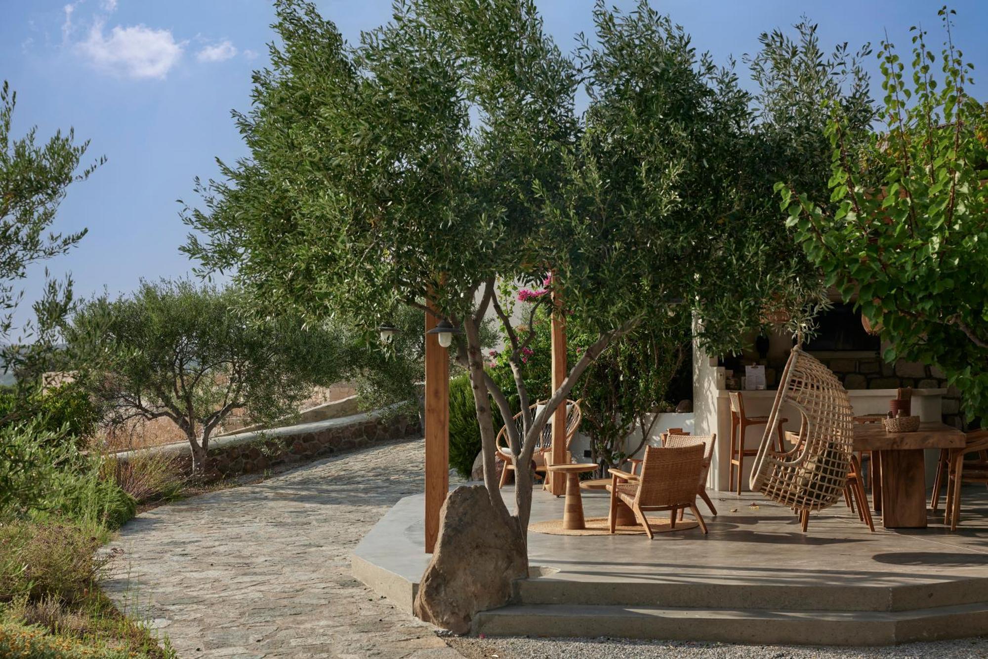 Apartmán Iliana Olive Branch Adamantas  Exteriér fotografie