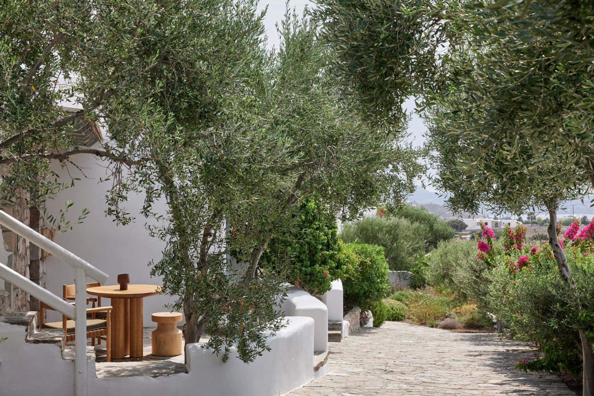 Apartmán Iliana Olive Branch Adamantas  Exteriér fotografie