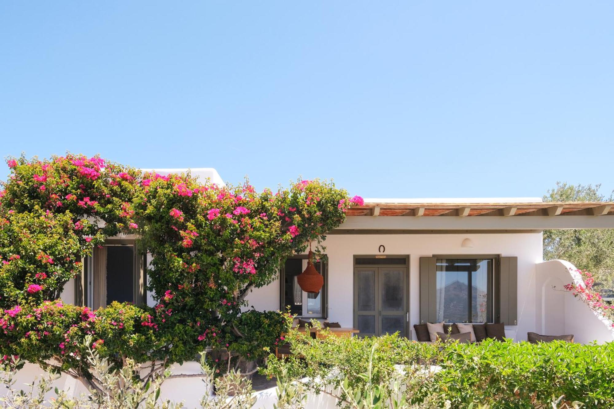 Apartmán Iliana Olive Branch Adamantas  Pokoj fotografie